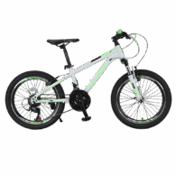 دوچرخه بچه گانه بلست SKY