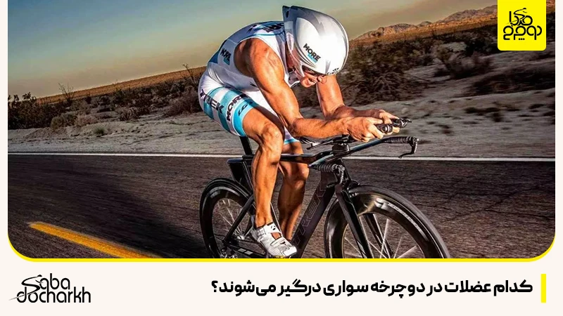 کدام عضلات در دوچرخه سواری درگیر میشوندکدام عضلات در دوچرخه سواری درگیر میشوند